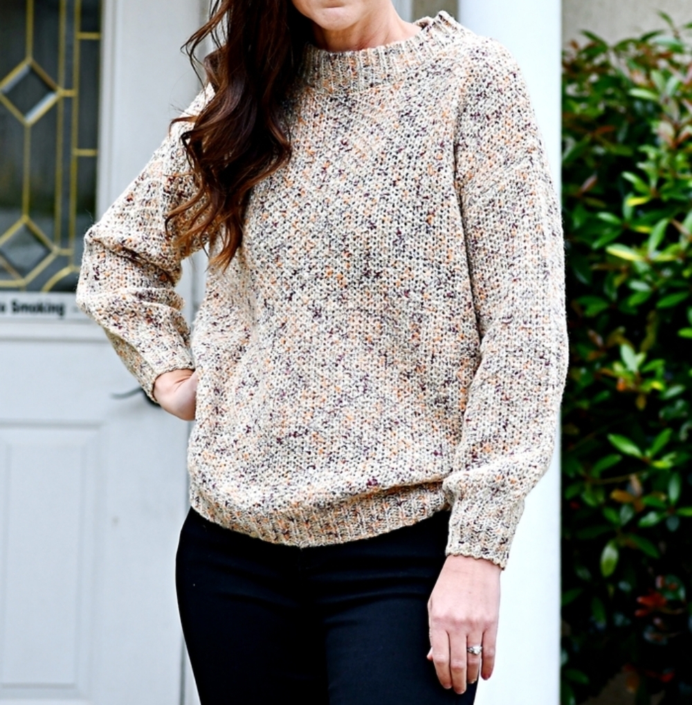 Emory Park Multicolored Confetti Chunky Knit Cozy Tan Crewneck Sweater